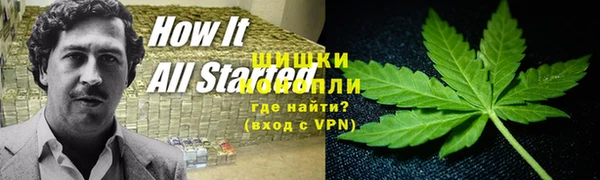MESCALINE Алзамай