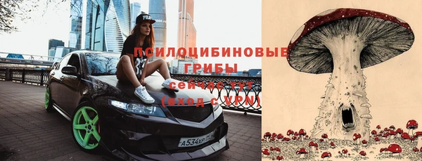 бутират Алексеевка