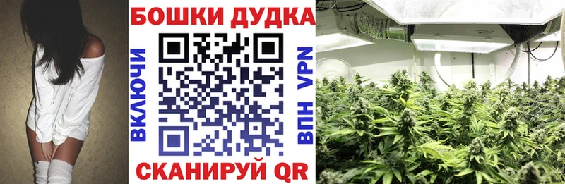 наркошоп  hydra ссылки  Бошки марихуана гибрид  Берёзовский 